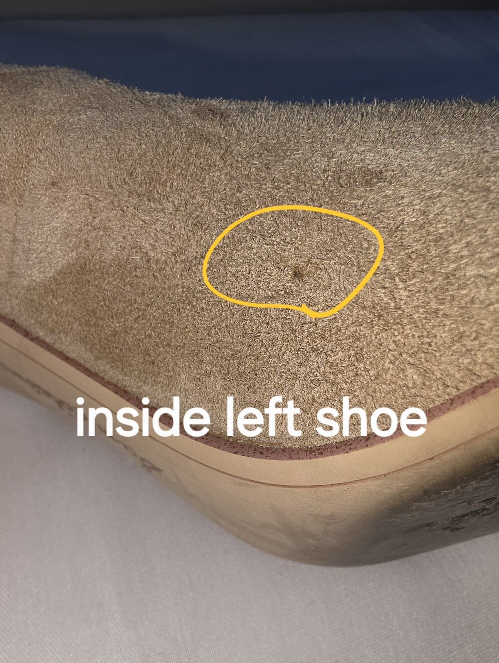 Sam Edelman Women's Tan Suede Pointed-Toe Block Heels Size 8.5 Leather Upper - Picture 12 of 13